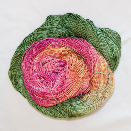 Hand-dyed fingering weight yarn in cactus green, vivid pink-red, coral, peach, and warm yellow tones.